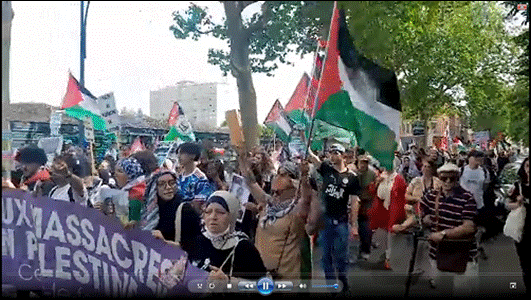 http://www.nord-palestine.org/2024-06-29ManifLillePhoto.png