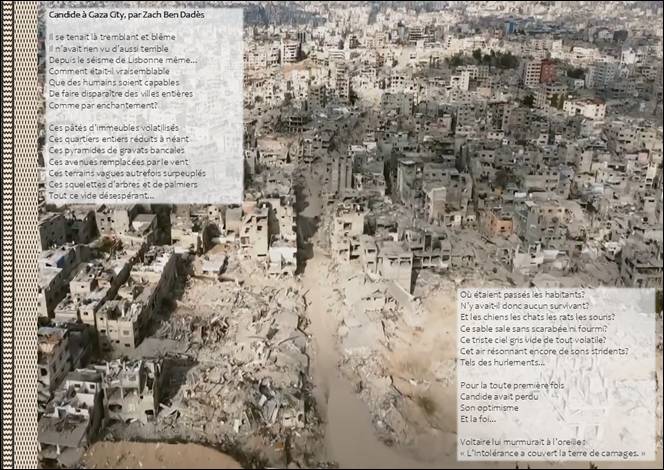 Candide  Gaza City.PNG